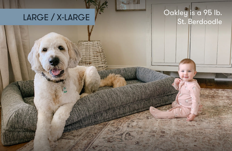 Washable & Orthopedic Pet Bed with Extra Cover - Large / X-Large Only
