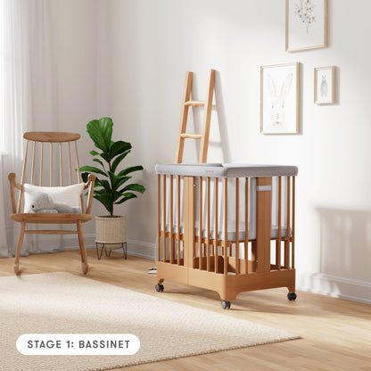Newton Nest Convertible Crib