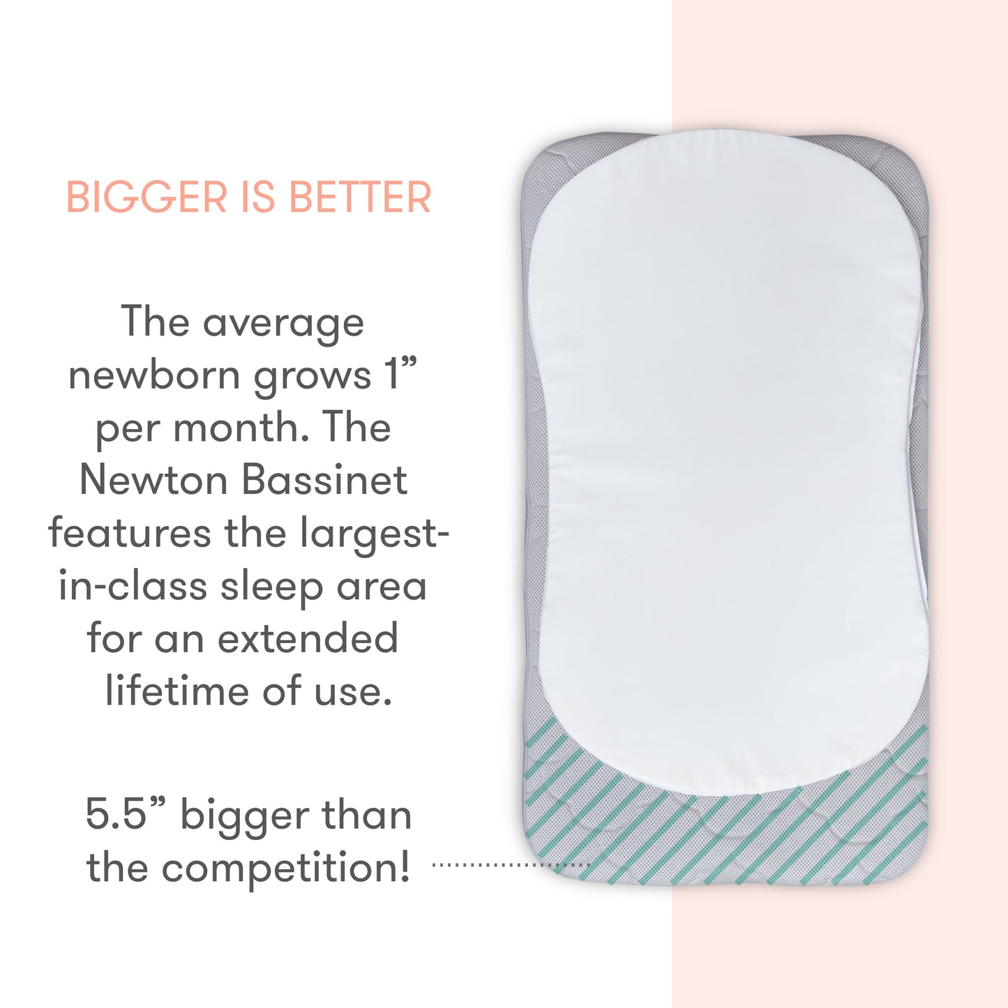 Bassinet & Bedside Sleeper