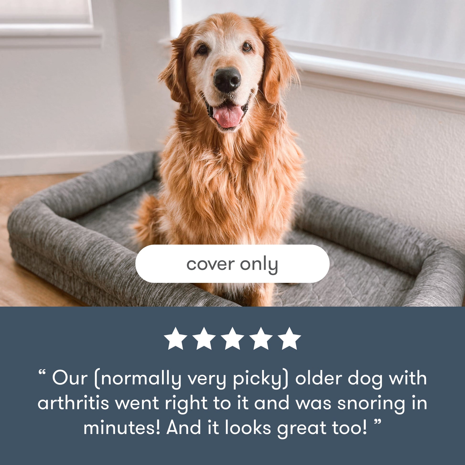 Pet Bed Extra Covers