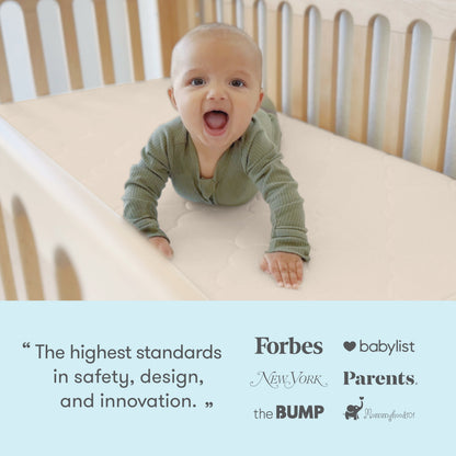 Bassinet & Bedside Sleeper + Original Crib Mattress