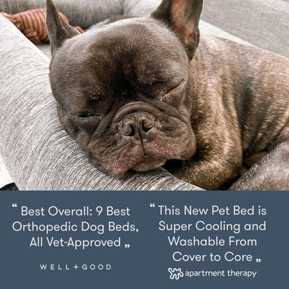 Washable & Orthopedic Pet Bed with Extra Cover - Large / X-Large Only