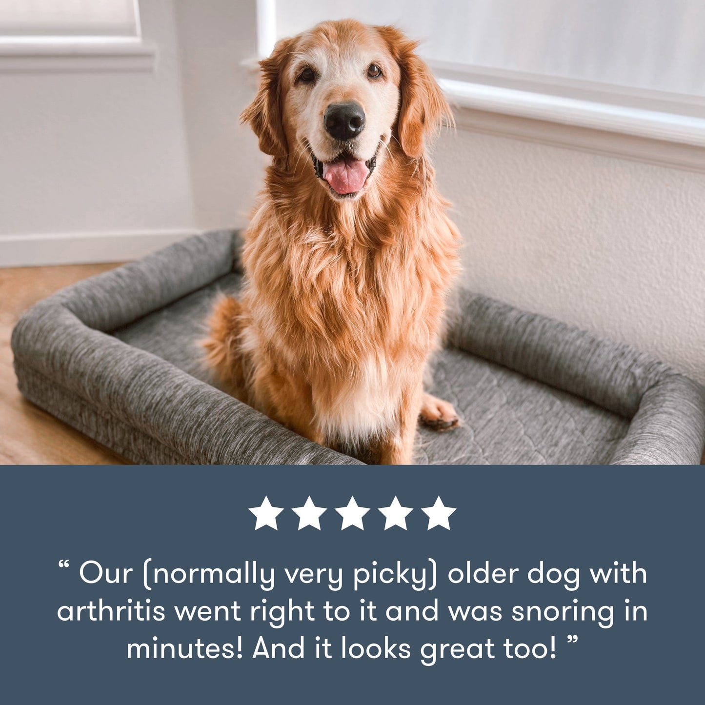 Washable & Orthopedic Pet Bed