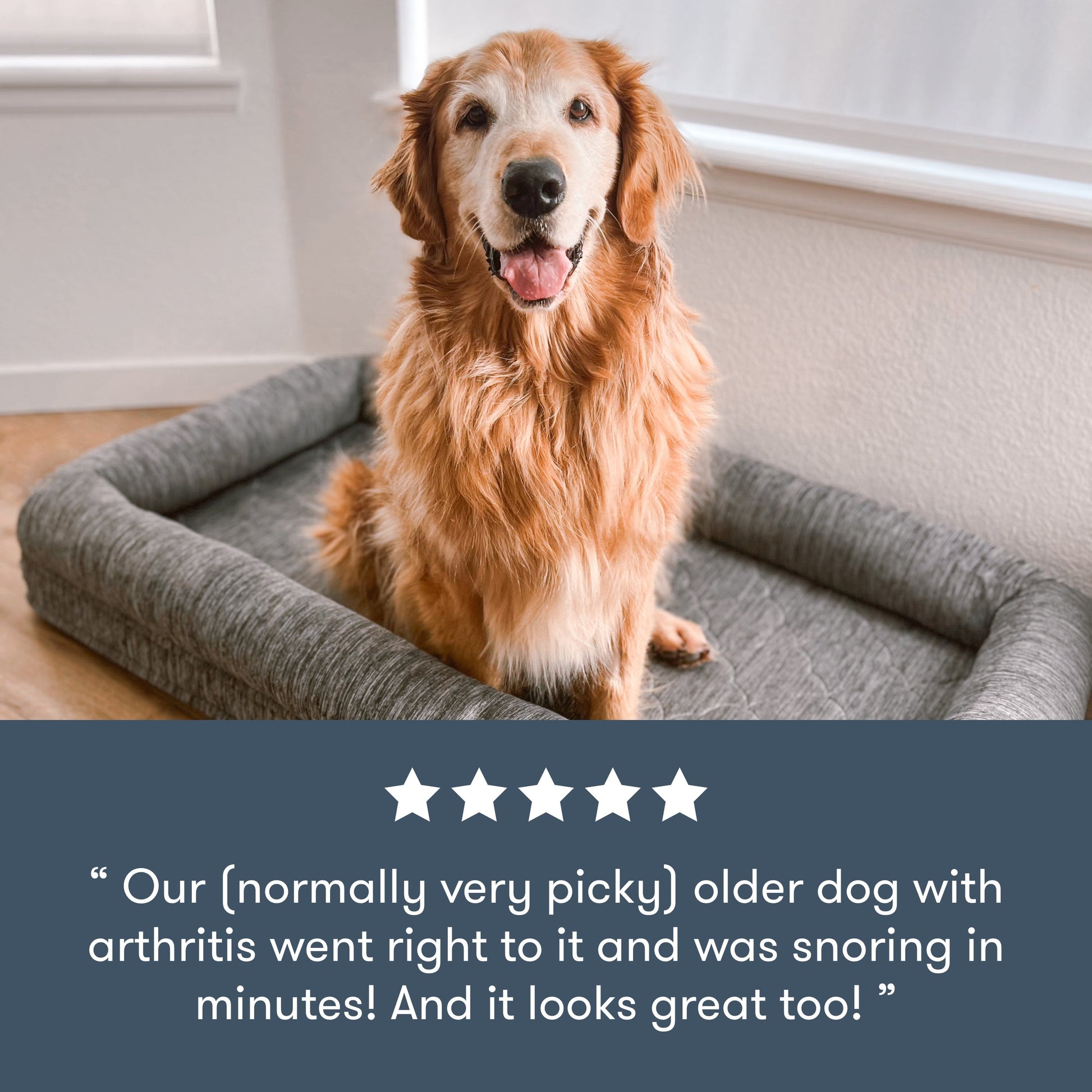 Washable & Orthopedic Pet Bed