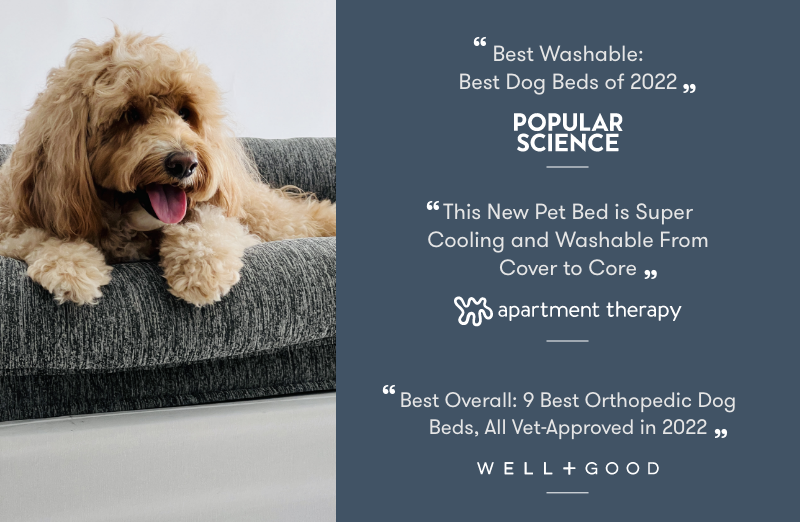 Washable & Orthopedic Pet Bed with Extra Cover - Large / X-Large Only