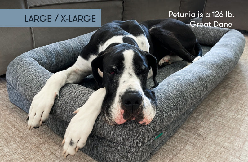 Washable & Orthopedic Pet Bed with Extra Cover - Large / X-Large Only