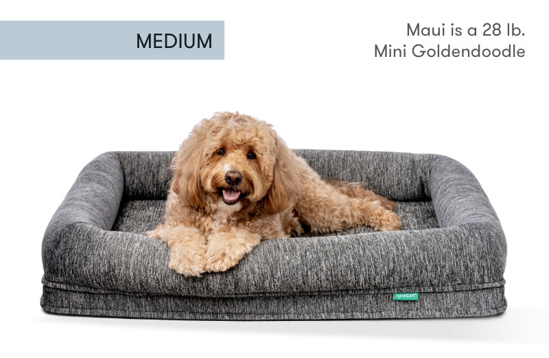 Washable & Orthopedic Pet Bed with Extra Cover - Large / X-Large Only
